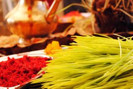 हुस्टनमा दशै मनाउंदै नेप्लीज हेरिटेज युनियन