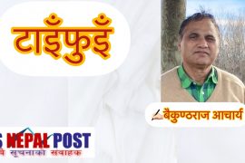 टाइँफुइँ ( कथा)