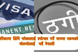 डिभी परेर अमेरिका आउने नेपालीलाई स्पाेन्सरकाे नाममा रकमकाे बार्गेनिङ
