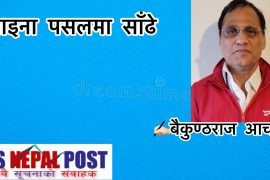 चाइना पसलमा साँढे (हास्य-व्यंग )