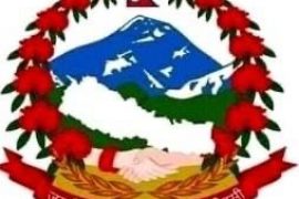 नेपाली राजदुताबास डिसीले टेक्ससमा घुम्ती कन्सुलर सेवा शिविर गदै