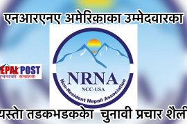 एनआरएन अमेरिकाका उम्मेदवारको तडकभडकपुर्ण प्रचार शैली