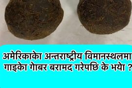 अमेरिकाको अन्तराष्ट्रिय विमानस्थलमा गोबर बरामद गरिएपछि…