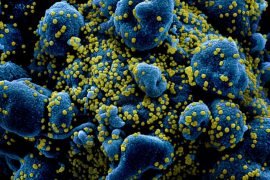 अमेरिकाका डेल्टा भेरियन्टको प्रकोप फैलिदै