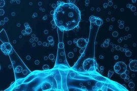 मनोरोगीका लागी ज्यादा घातक हुने कोरोनाभाइरस–अध्ययन