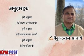 अनुहारहरु