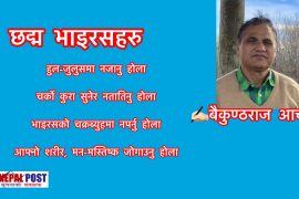 छद्म भाइरसहरु