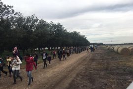 तीन दिनमा अमेरिका छिर्न लागेका ३ हजार बढी कागजबिहीन आप्रवासी समातिए