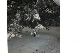 नया वर्ष संगै मध्यपश्चिम अमेरिकामा भारी हिमपात संगै चिसो बढयो