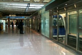 अमेरिका आएकी भारतीय महिला विमानस्थमा अचेत अवस्थामा व्हीलचियरमा फेला