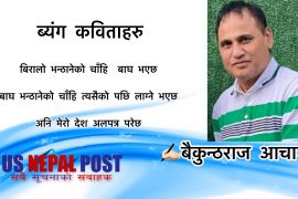 ब्यंग कविताहरु