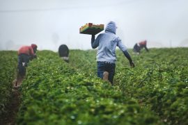 संसारमा हरेक ८ मध्ये एक जना व्यक्ति प्रवासी