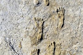अमेरिकामा यति धेरै वर्ष पुरानेा मानव पैतलाकेा निशान भेटियेा